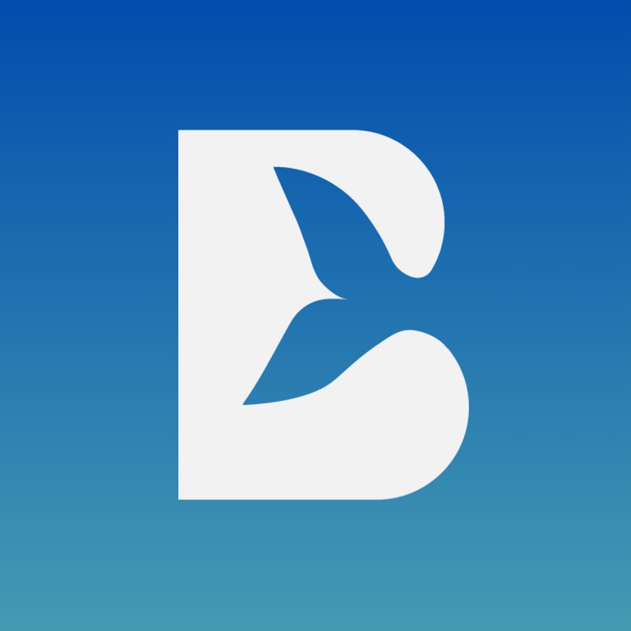 BigBeluga logo