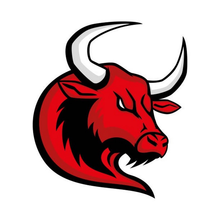 Bulls Signals logo