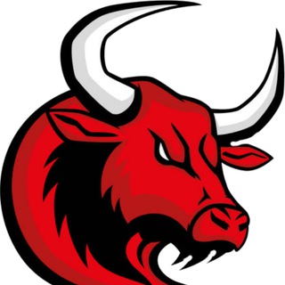 Bulls Signals logo