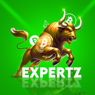 Crypto Expertz Recover Your Losses logo