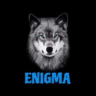 ENIGMA Army 🪖👁️ logo